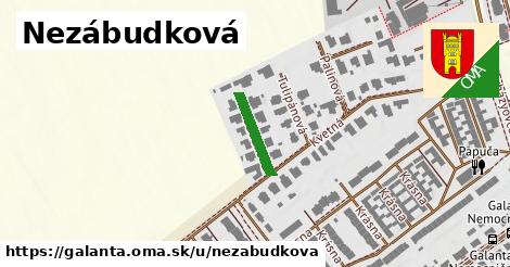 Nezábudková, Galanta