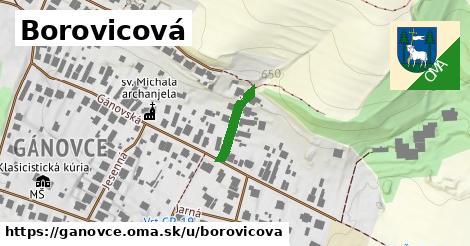 Borovicová, Gánovce