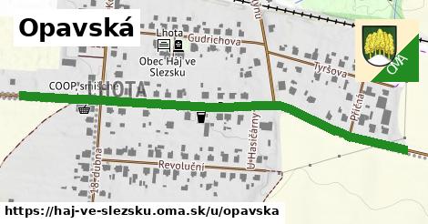 ilustrácia k Opavská, Háj ve Slezsku - 670 m