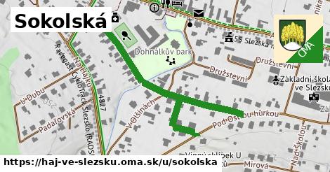 Sokolská, Háj ve Slezsku