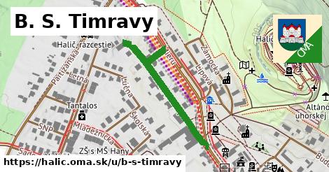 B. S. Timravy, Halič