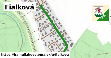 ilustrácia k Fialková, Hamuliakovo - 388 m