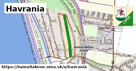 Havrania, Hamuliakovo