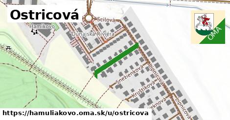 ilustrácia k Ostricová, Hamuliakovo - 180 m