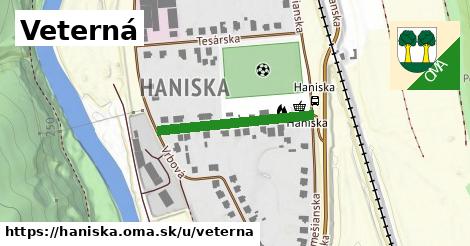 Veterná, Haniska