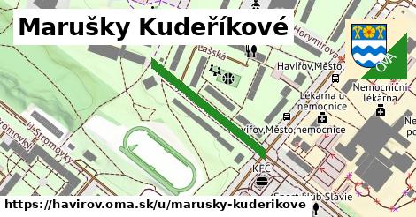 ilustrácia k Marušky Kudeříkové, Havířov - 255 m