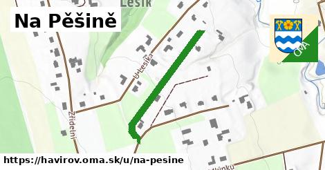 ilustrácia k Na Pěšině, Havířov - 301 m