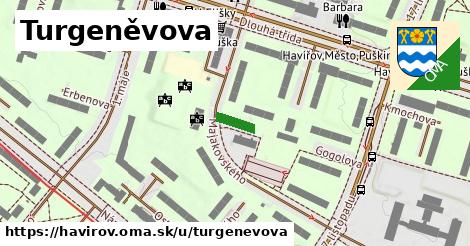 Turgeněvova, Havířov