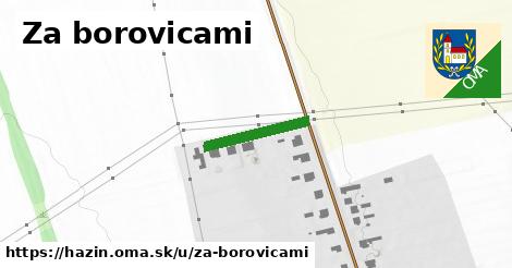 ilustrácia k Za borovicami, Hažín - 156 m