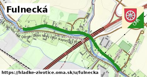 Fulnecká, Hladké Životice