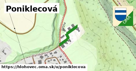 ilustrácia k Poniklecová, Hlohovec - 160 m