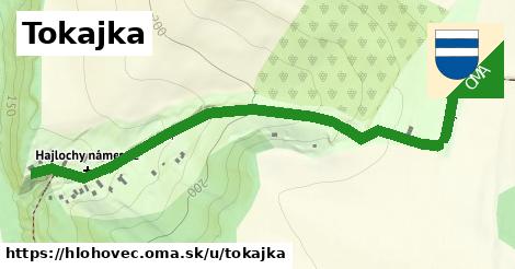 ilustrácia k Tokajka, Hlohovec - 0,73 km