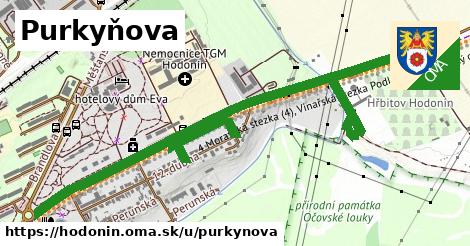 ilustrácia k Purkyňova, Hodonín - 1,95 km