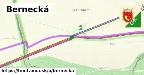 Bernecká, Hont