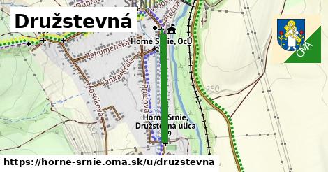 Družstevná, Horné Srnie