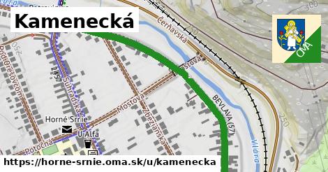 ilustrácia k Kamenecká, Horné Srnie - 678 m