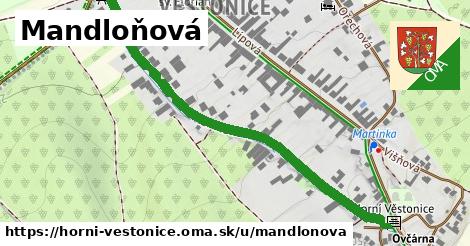 Mandloňová, Horní Věstonice