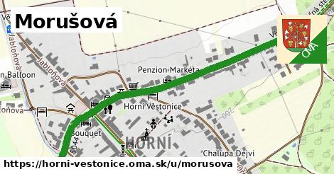 ilustrácia k Morušová, Horní Věstonice - 637 m