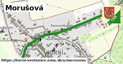 Morušová, Horní Věstonice