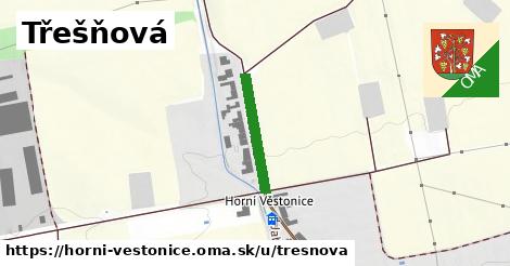 Třešňová, Horní Věstonice