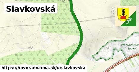 ilustrácia k Slavkovská, Hovorany - 1,72 km