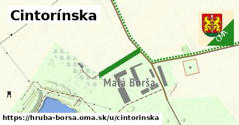 Cintorínska, Hrubá Borša