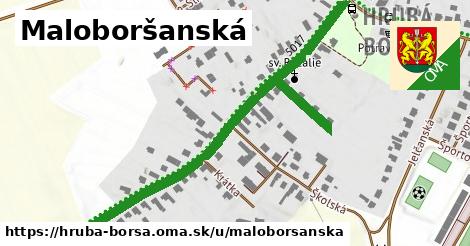 ilustrácia k Maloboršanská, Hrubá Borša - 691 m