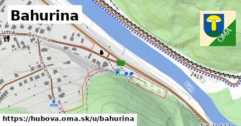 Bahurina, Hubová