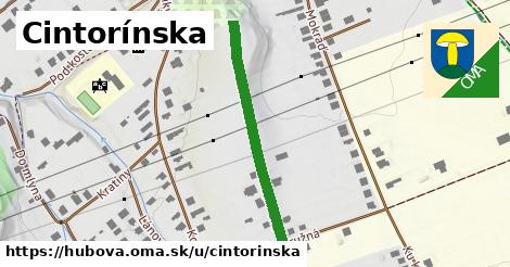 Cintorínska, Hubová