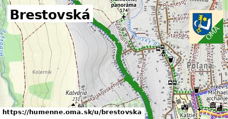ilustrácia k Brestovská, Humenné - 1,81 km