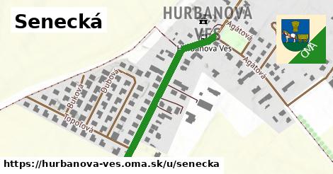 ilustrácia k Senecká, Hurbanova Ves - 355 m