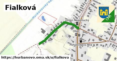 ilustrácia k Fialková, Hurbanovo - 316 m