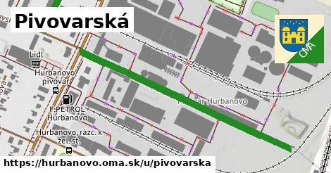 ilustrácia k Pivovarská, Hurbanovo - 650 m