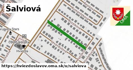 ilustrácia k Šalviová, Hviezdoslavov - 263 m