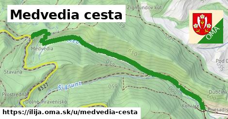 ilustrácia k Medvedia cesta, Ilija - 1,41 km
