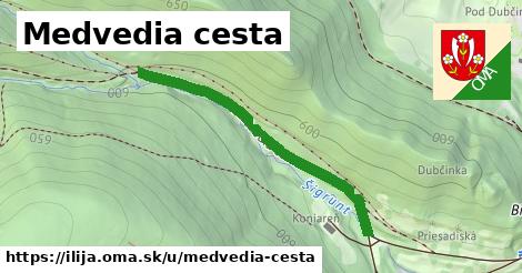 ilustrácia k Medvedia cesta, Ilija - 1,41 km