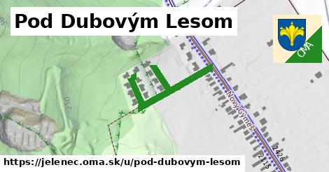 Pod Dubovým Lesom, Jelenec