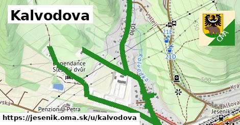 Kalvodova, Jeseník