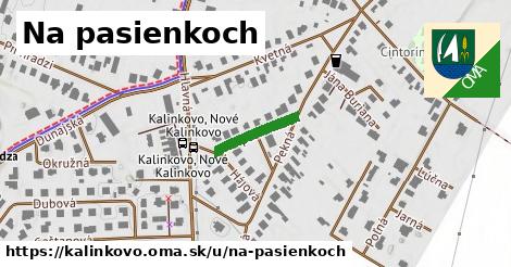 ilustrácia k Na pasienkoch, Kalinkovo - 133 m