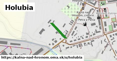 ilustrácia k Holubia, Kalná nad Hronom - 136 m