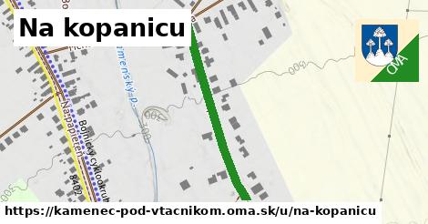 Na kopanicu, Kamenec pod Vtáčnikom