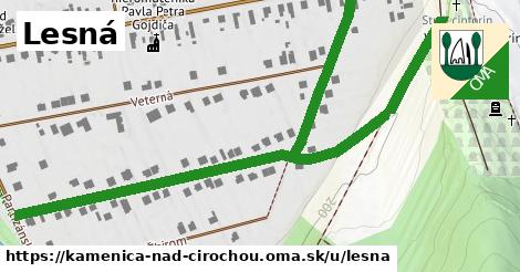 ilustrácia k Lesná, Kamenica nad Cirochou - 0,98 km