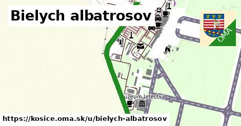ilustrácia k Bielych albatrosov, Košice - 0,87 km