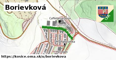 Borievková, Košice