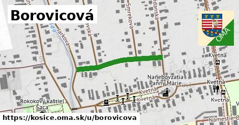 ilustrácia k Borovicová, Košice - 270 m