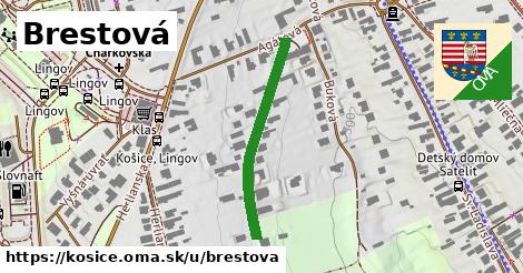 ilustrácia k Brestová, Košice - 295 m