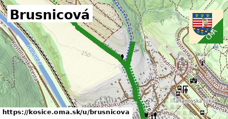 ilustrácia k Brusnicová, Košice - 1,03 km