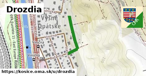 ilustrácia k Drozdia, Košice - 227 m