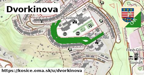 ilustrácia k Dvorkinova, Košice - 636 m