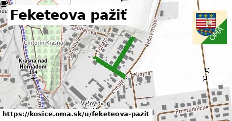 Feketeova pažiť, Košice